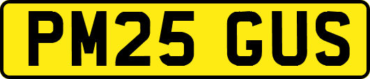 PM25GUS