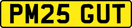 PM25GUT
