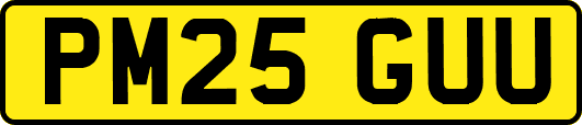 PM25GUU