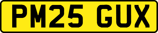PM25GUX
