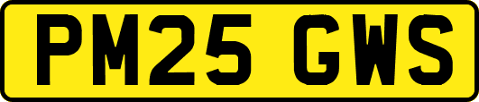 PM25GWS