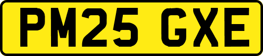 PM25GXE