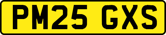 PM25GXS