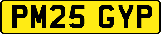 PM25GYP