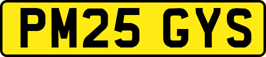 PM25GYS
