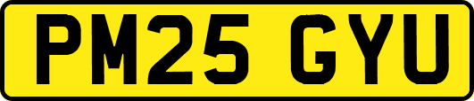 PM25GYU