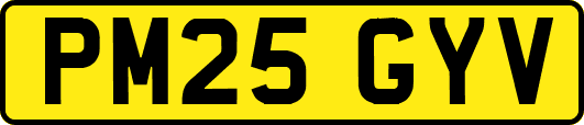 PM25GYV