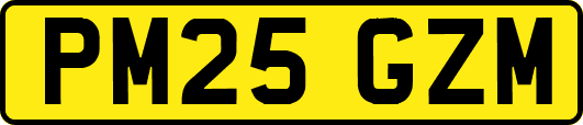PM25GZM