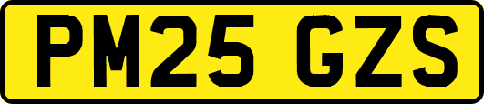 PM25GZS