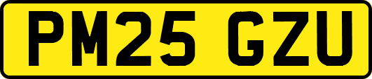 PM25GZU
