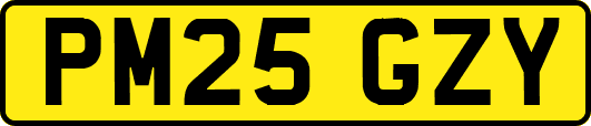PM25GZY
