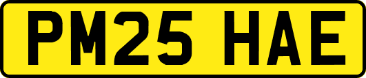 PM25HAE