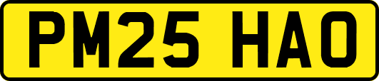 PM25HAO