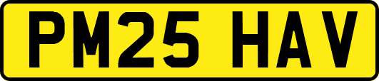 PM25HAV