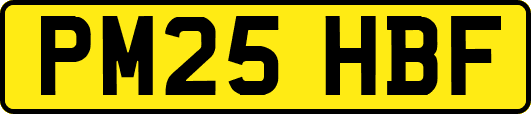 PM25HBF