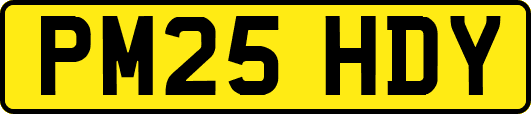 PM25HDY