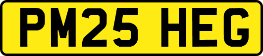 PM25HEG