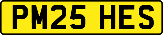 PM25HES
