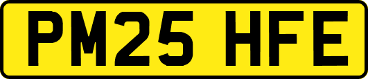 PM25HFE
