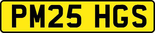 PM25HGS