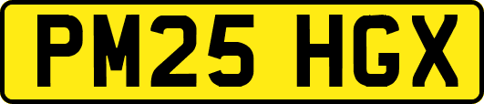 PM25HGX