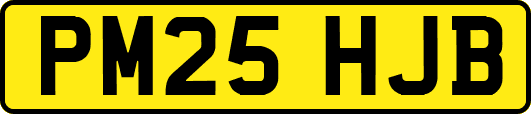 PM25HJB