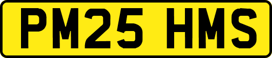 PM25HMS