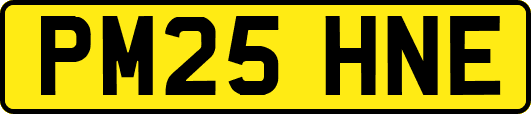 PM25HNE