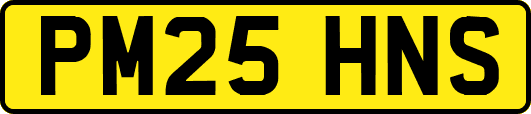 PM25HNS