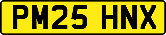 PM25HNX