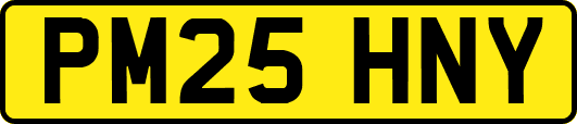 PM25HNY