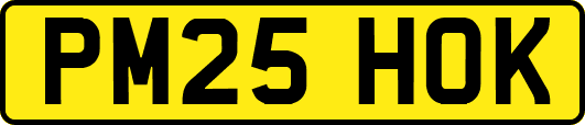 PM25HOK