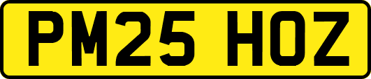 PM25HOZ