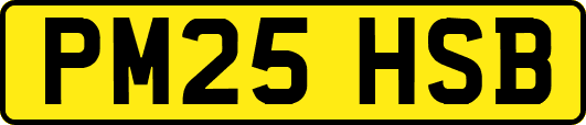 PM25HSB