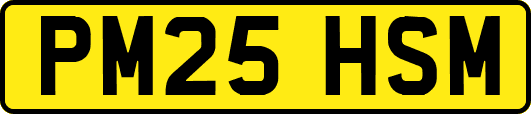 PM25HSM