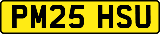 PM25HSU