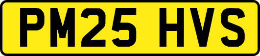 PM25HVS