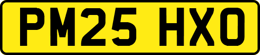 PM25HXO