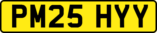 PM25HYY