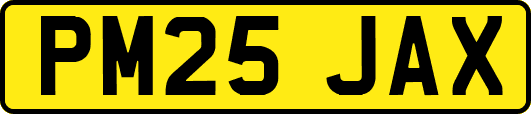 PM25JAX