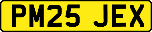 PM25JEX