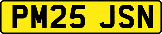 PM25JSN