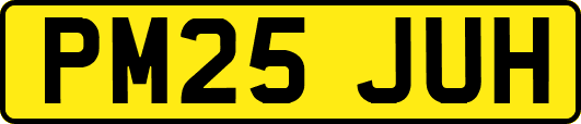 PM25JUH