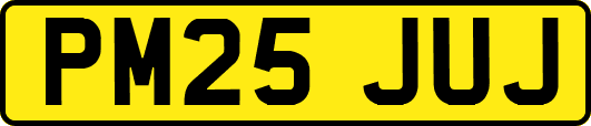 PM25JUJ