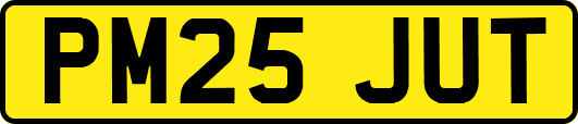 PM25JUT