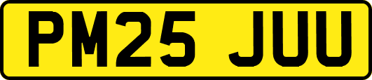 PM25JUU