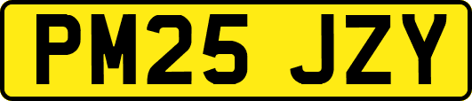 PM25JZY