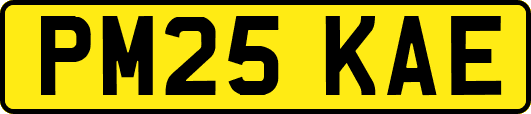PM25KAE