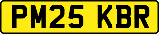 PM25KBR