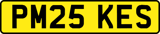 PM25KES